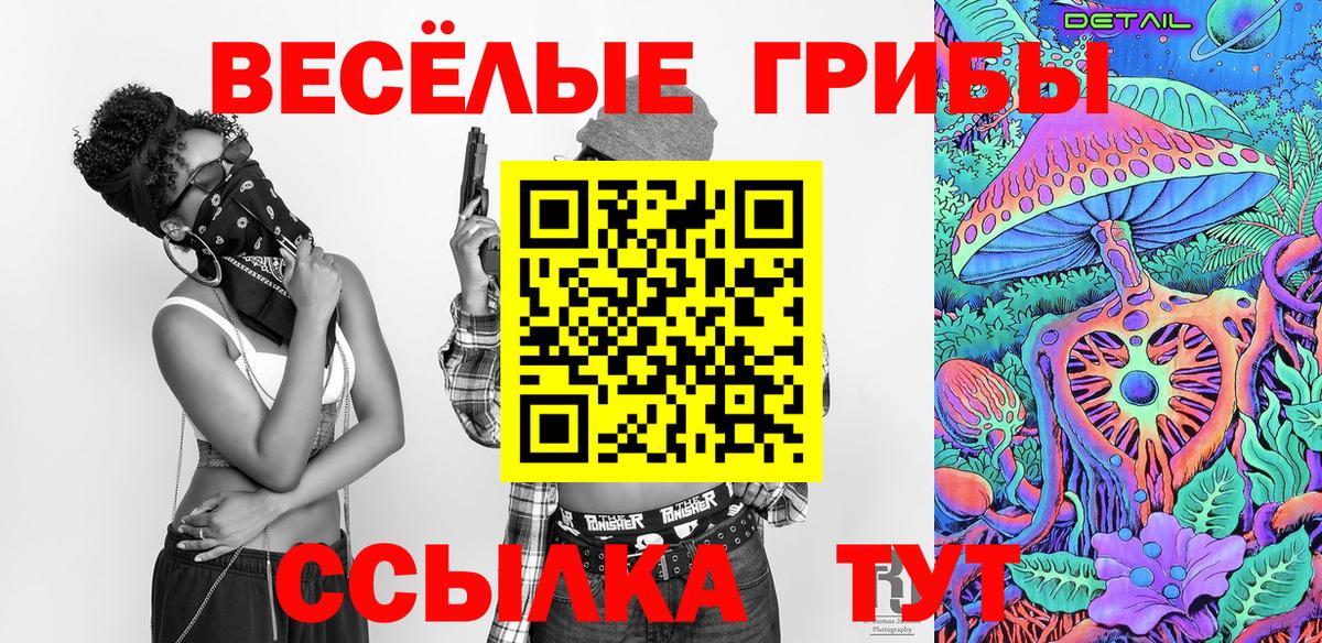 Галлюциногенные грибы Cubensis Новокубанск