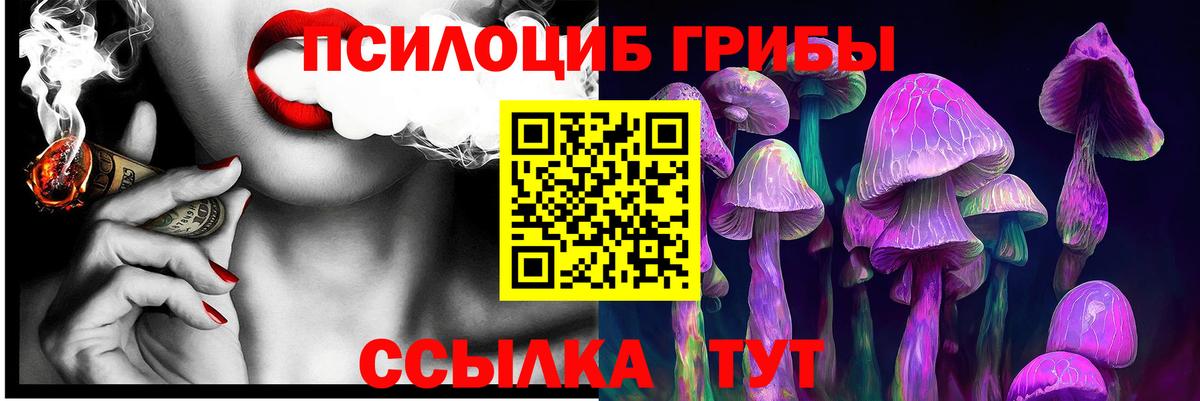 Новокубанск  Псилоцибиновые грибы Psilocybe  Вход с VPN 